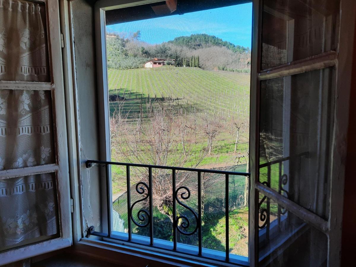Agriturismo Tenuta Adamo 루카 외부 사진