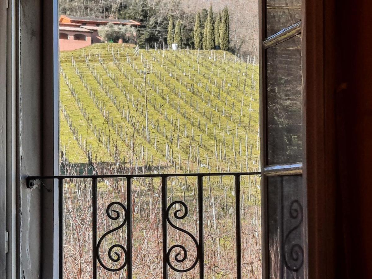 Agriturismo Tenuta Adamo 루카 외부 사진