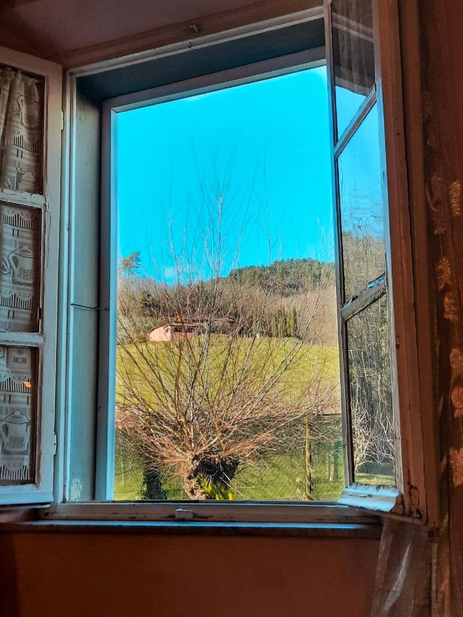 Agriturismo Tenuta Adamo 루카 외부 사진