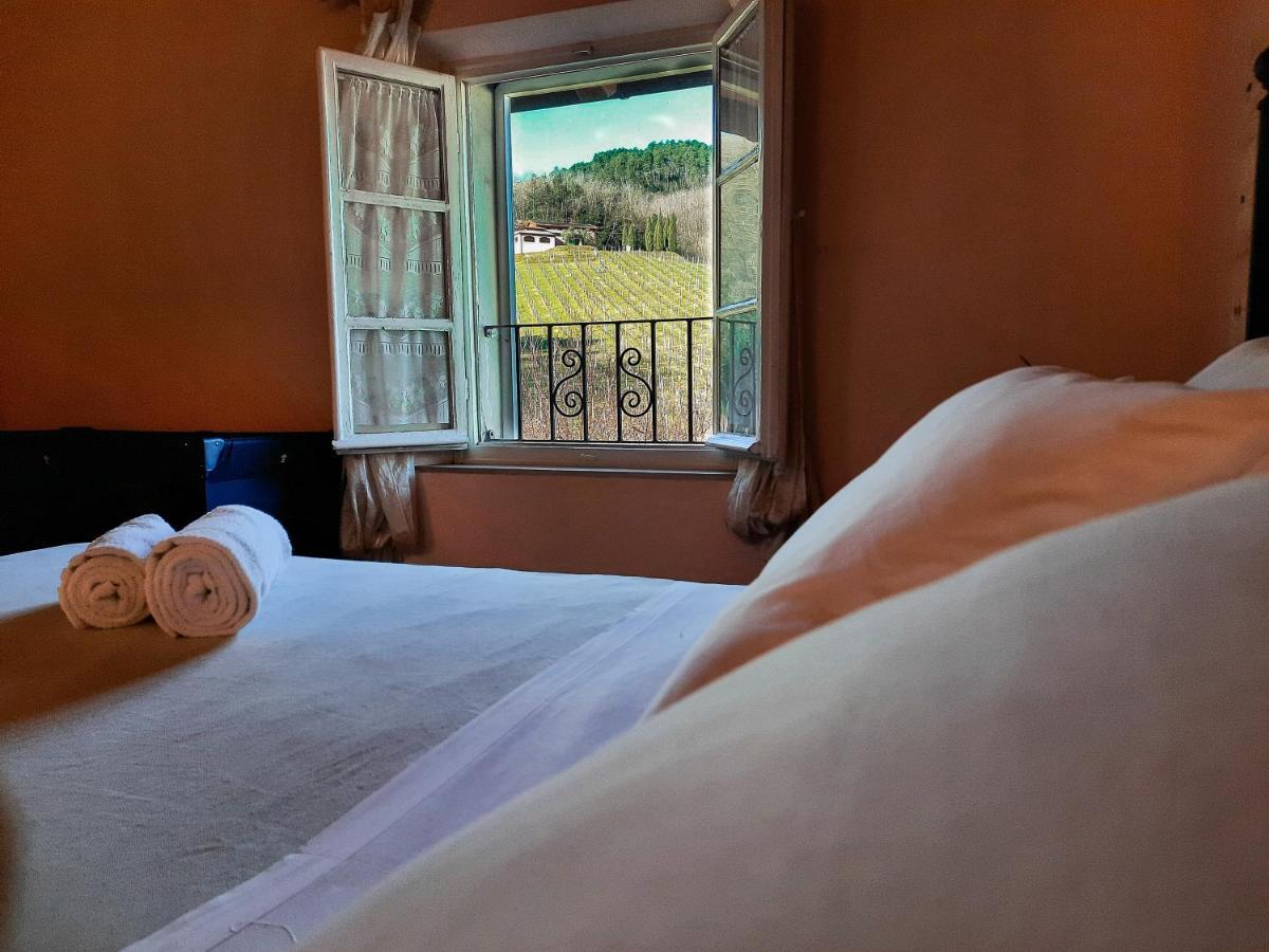 Agriturismo Tenuta Adamo 루카 외부 사진