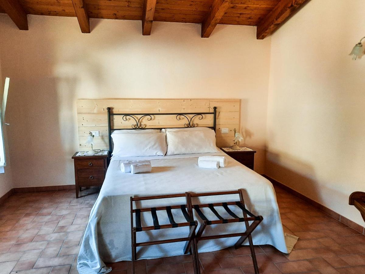 Agriturismo Tenuta Adamo 루카 외부 사진